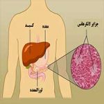 اطلاعاتی درمورد جزایر لانگرهانس